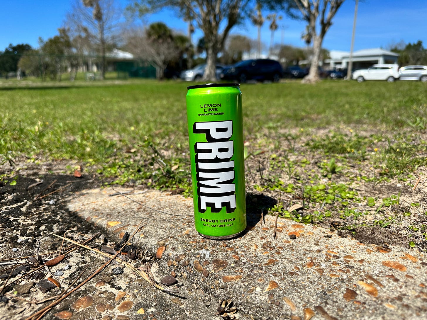 IMG_6824.jpeg IMG_6824.jpeg