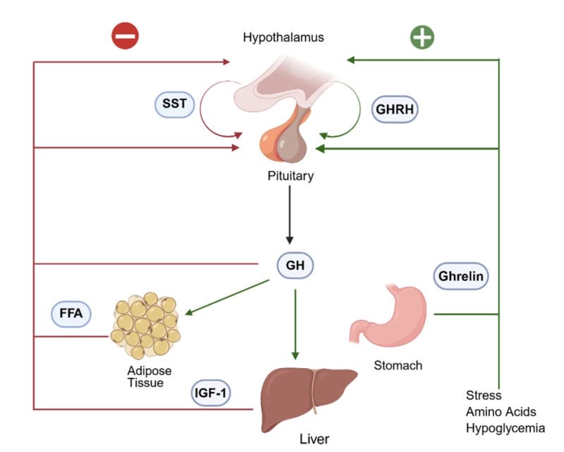https%3A%2F%2Fsubstack post media.s3.amazonaws.com%2Fpublic%2Fimages%2F99acd400 ca93 4686 92a8