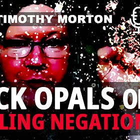 Timothy Morton: Black Opals of Gurgling Negation