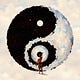 The Dao of Now