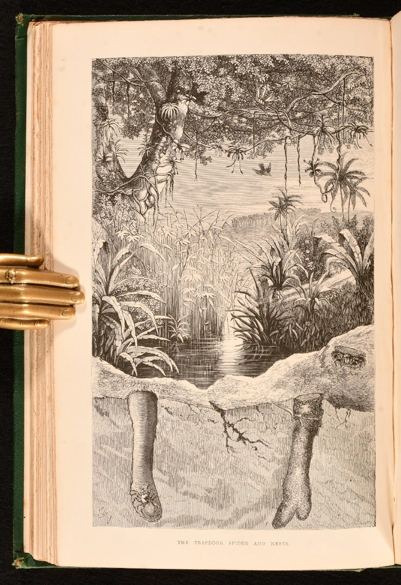 Homes Without Hands: Being a Description of the Habitations of Animals ... Homes Without Hands: Being a Description of the Habitations of Animals ...