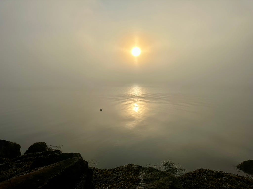 Summer sun breaking through fog over the water at the Littlejohn Island dock