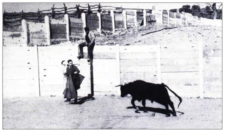The Missing Manuscript of Dr. Jose Delgado's Radio Controlled Bulls - PMC