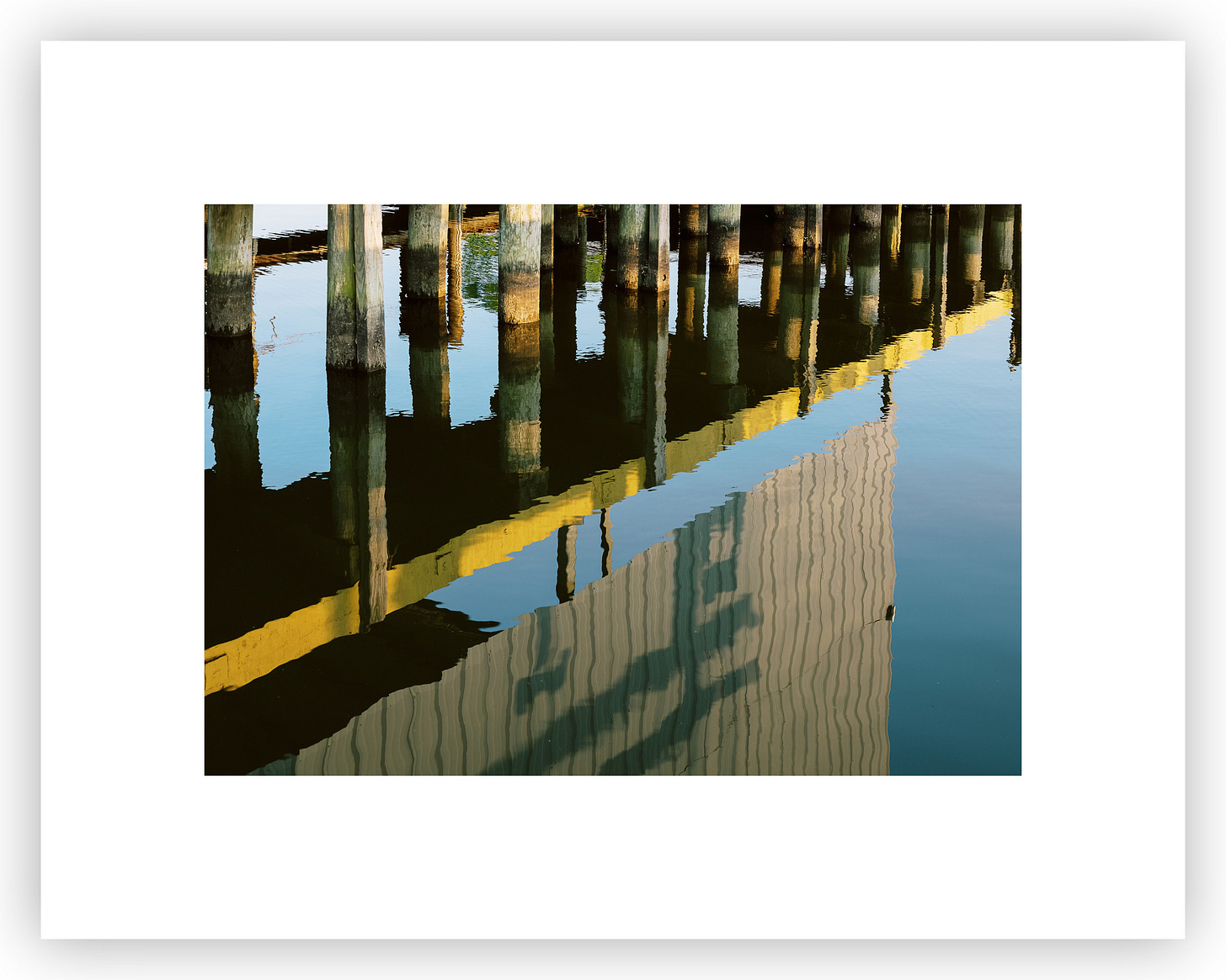 11x14 print with even 2in borders