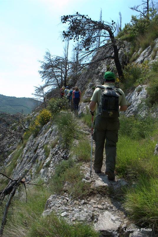 No photo description available.