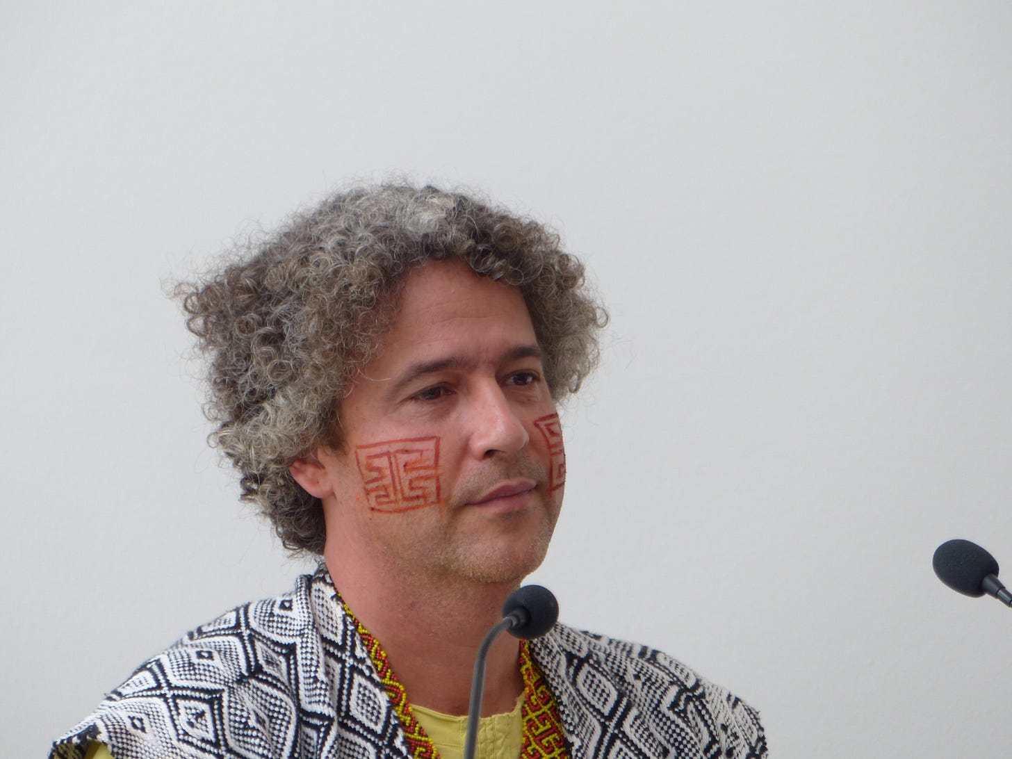 File:Ernesto Neto portrait 2.JPG - Wikimedia Commons