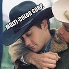 💥Kirkland's Krown💥