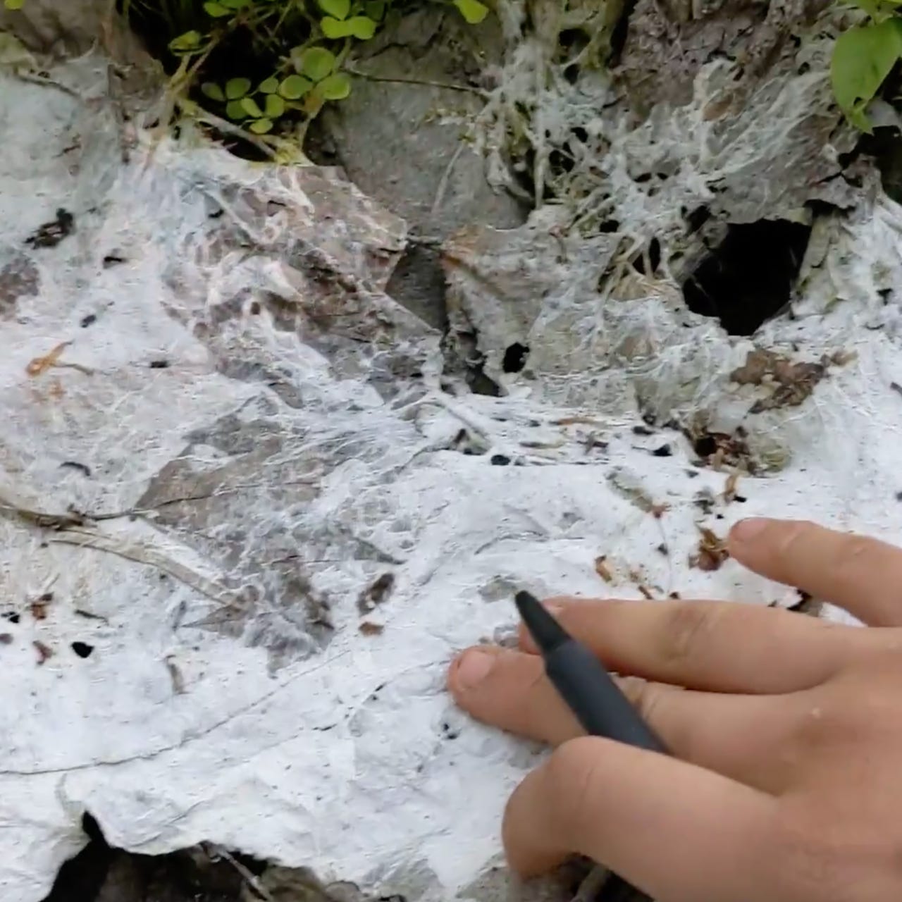 Graph Bandit Cave 图匪窟