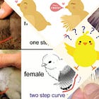 Sex-linked breeding in poultry - Part 3