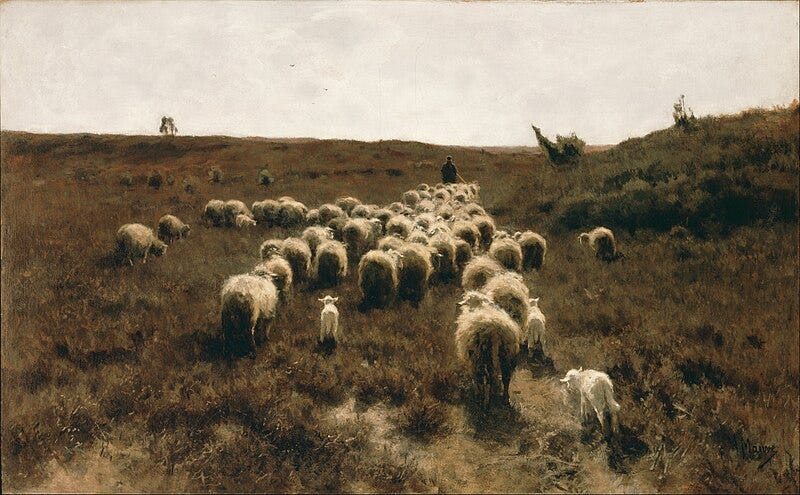 File:Anton Mauve - The Return of the Flock, Laren - Google Art Project.jpg