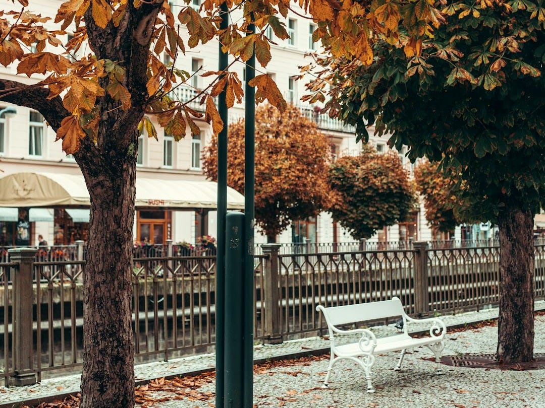 A white bench sitting under a tree next to a fence