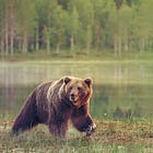 CTAs Flip Short as Rates Surge and Oil Drives the Macro Narrative