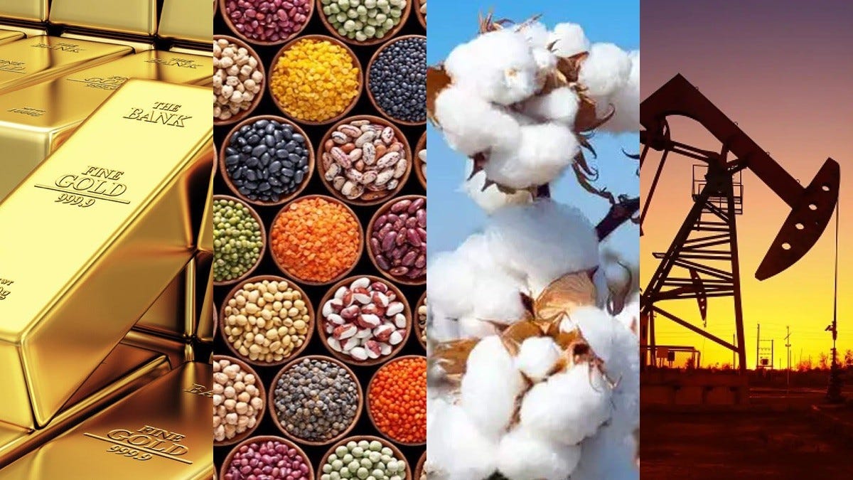 Understanding Commodity Trading, Hedge Funds, and Pricing Models for  Informed Decision-Making