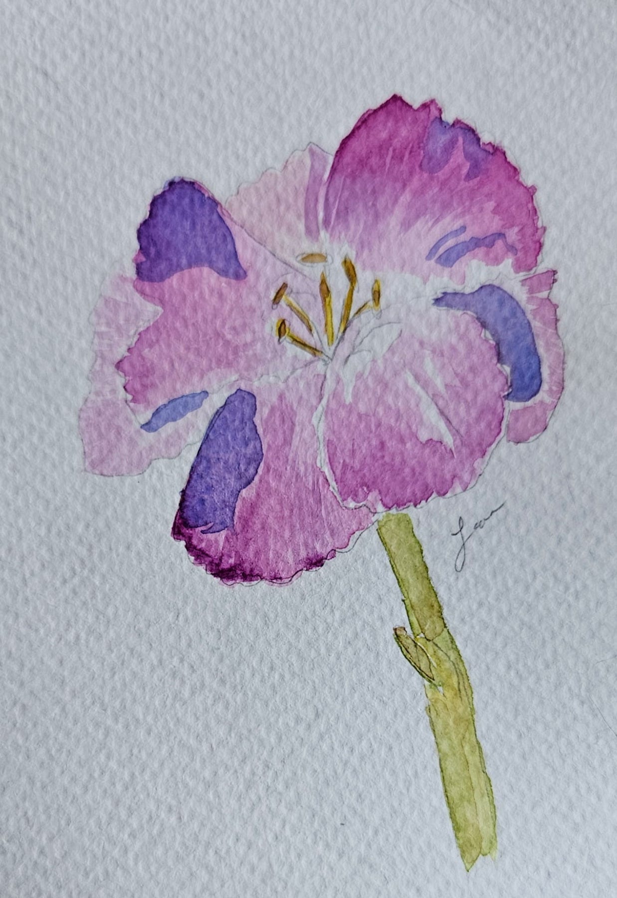 Watercolor painting of a single purple and magenta flower with delicate petals and yellow stamens on textured paper.