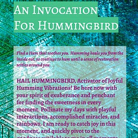 Capturing Joy with HUMMINGBIRD