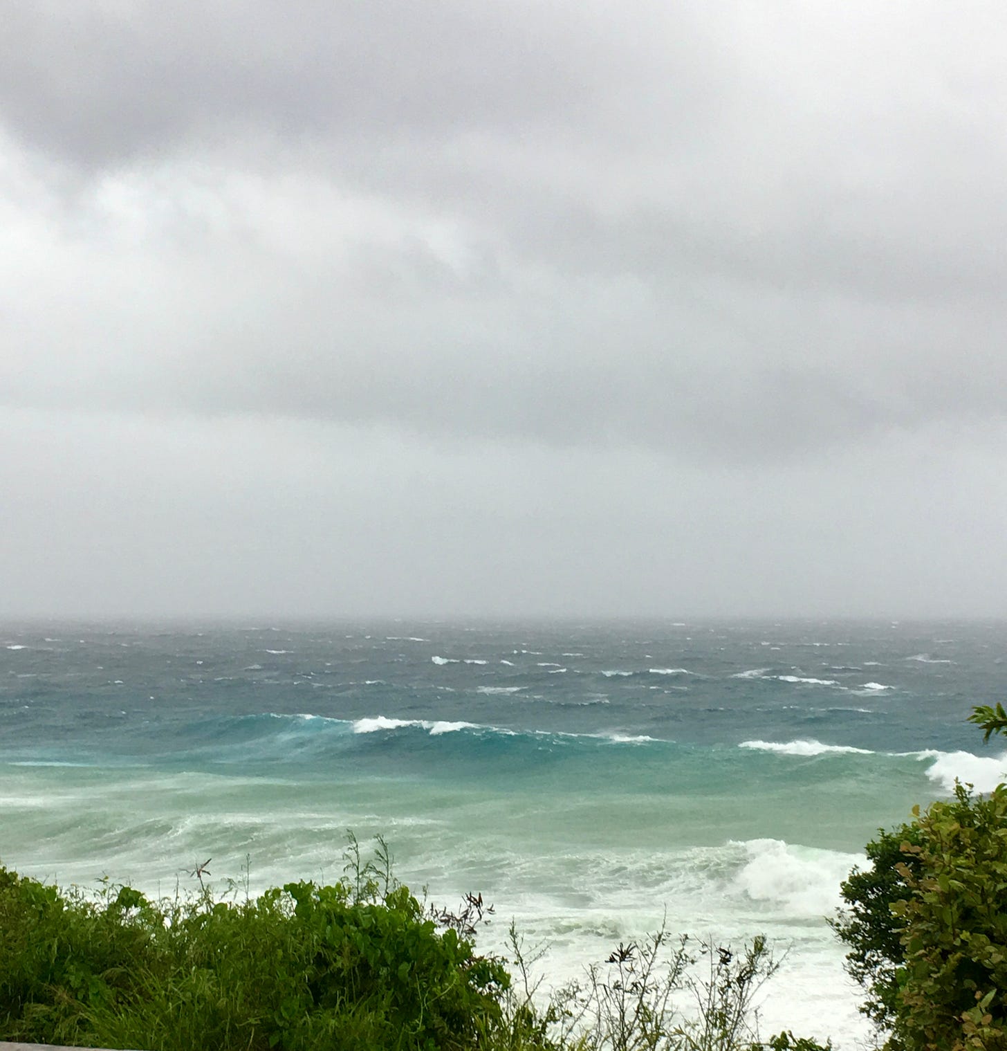 Stormy sky over over wave filled turquoise sea with bushes in foreground Stormy sky over over wave filled turquoise sea with bushes in foreground