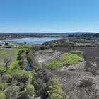 Laguna de Santa Rosa Foundation wins million-dollar grant to kick off 175-acre wetlands restoration 