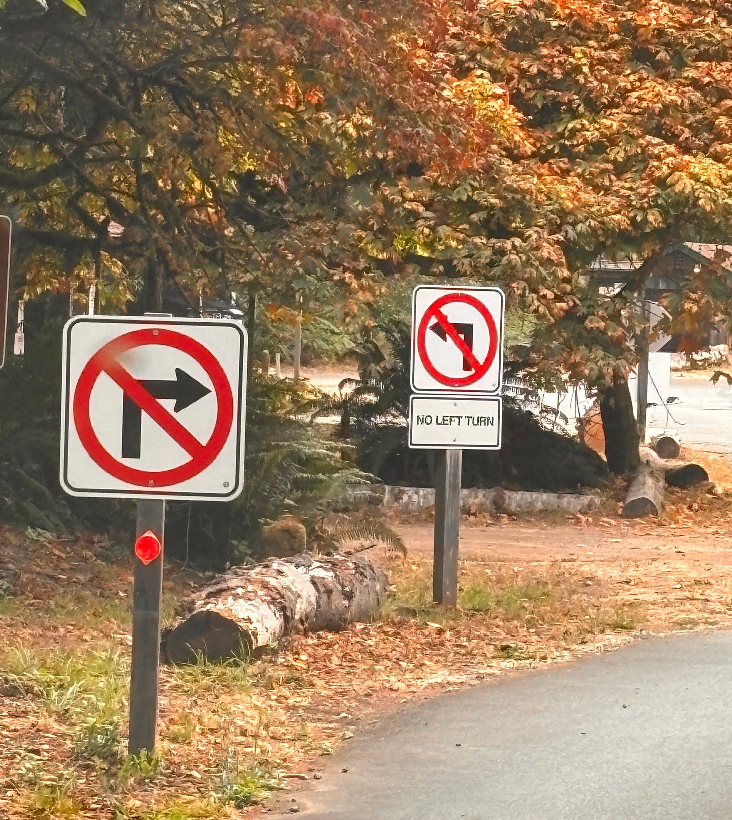 A road sign saying no left turn next to a road sign saying no right turn in a forest