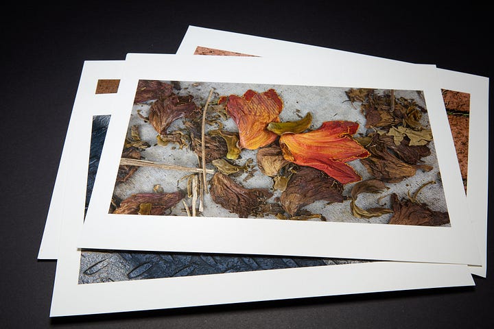 Sample photographic prints from a project