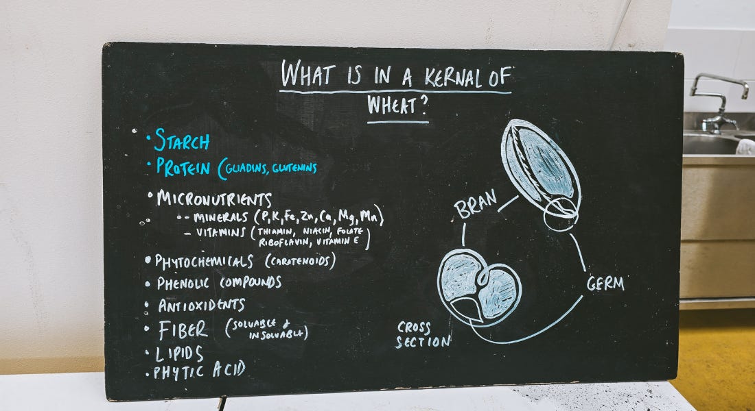 A chalkboard with writing on it explaining what is in a kernel of wheat