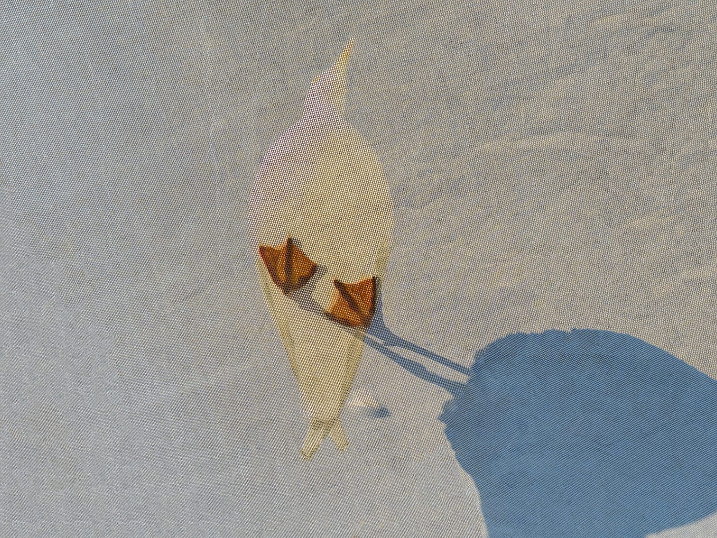 © IPPAWARDS – Iuliia Antonova – Ukraine © IPPAWARDS – Iuliia Antonova – Ukraine