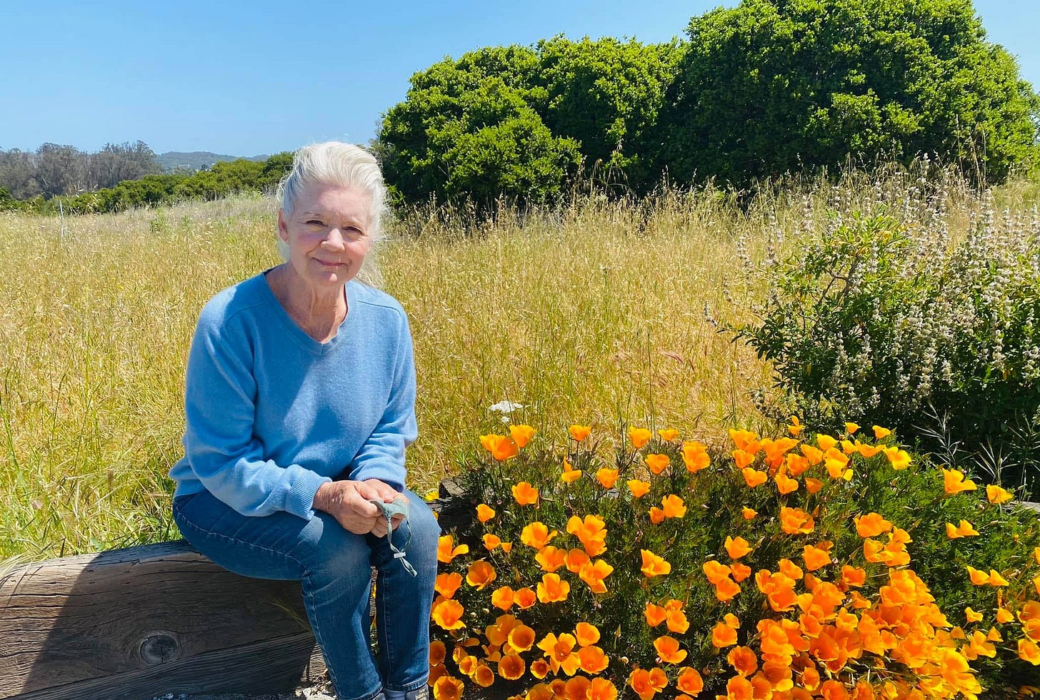 No photo description available.