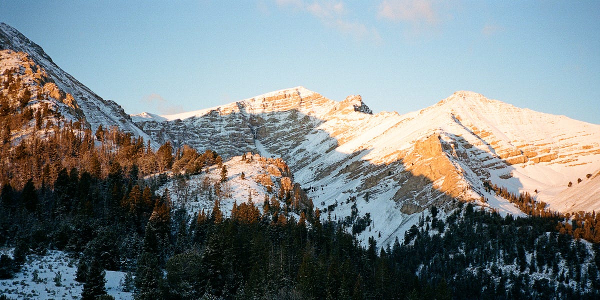 Thumbnail of The GSC Gift Guide