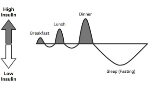 A graph of a meal and lunch

AI-generated content may be incorrect.