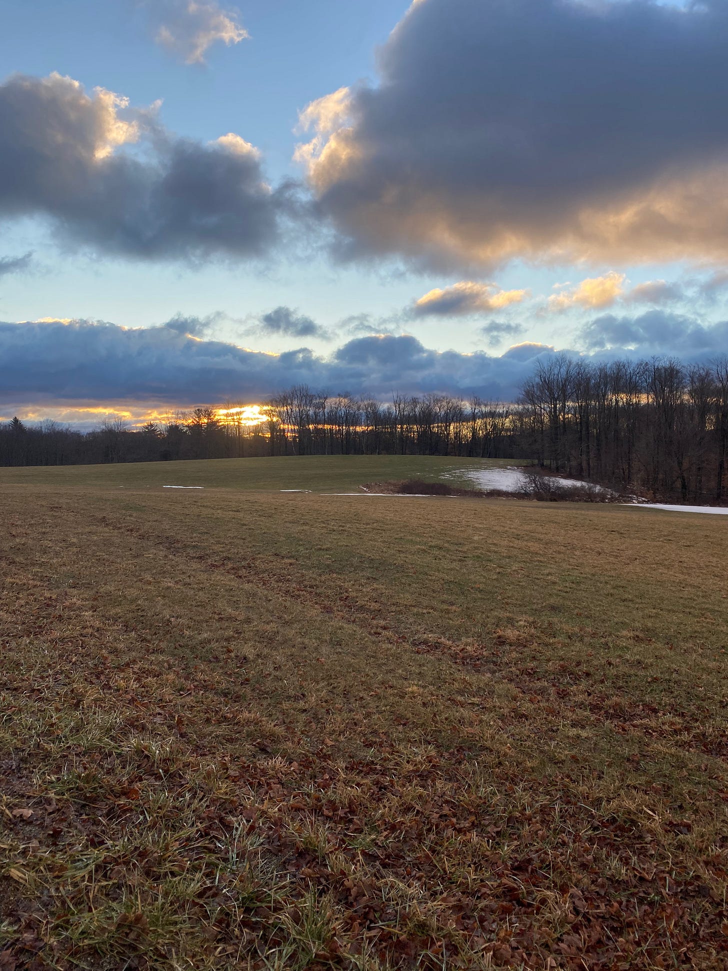 View of a winter field at sunrise; the sky is full of deep blue and purple clouds.