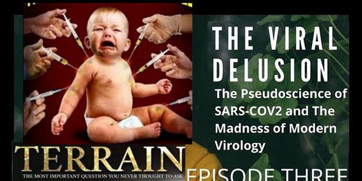 The Viral Delusion Part 3/5: The Mask of Death, The Plague, Smallpox ...