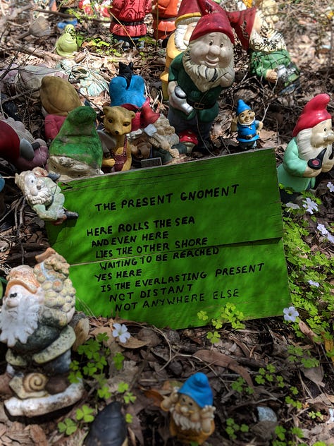 Gnomesville gnomes