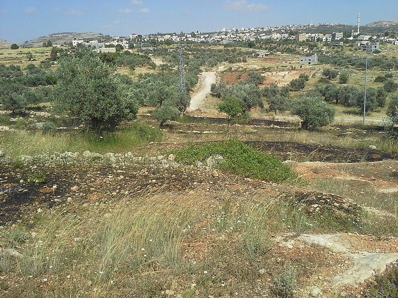 File:Bilin burning.jpg File:Bilin burning.jpg