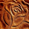 The Desert Rose