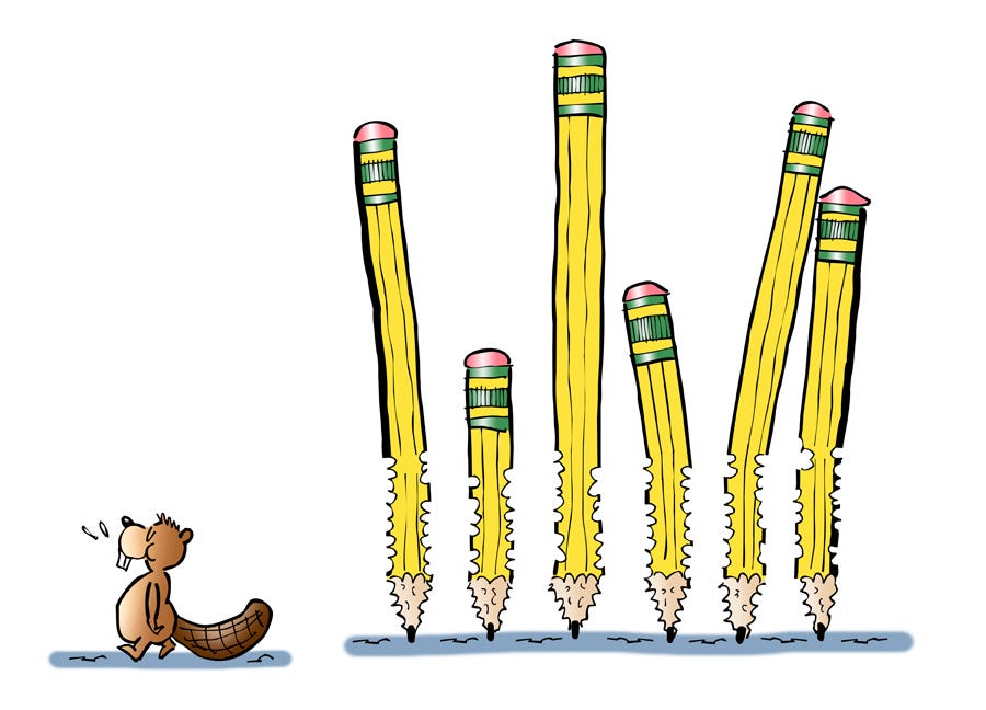 Cartoon illustration by children's book author Mark Armstrong. Beaver picking his teeth and walking away from six badly chewed-up No. 2 pencils.