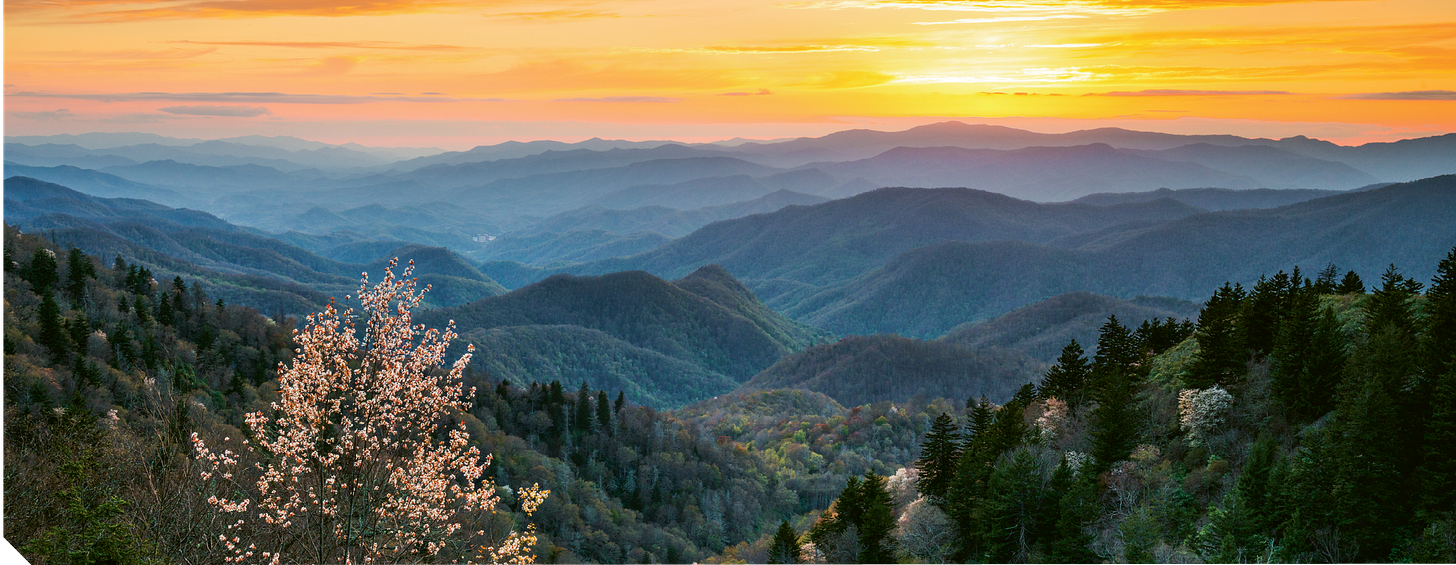 The Best of WNC