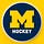 X avatar for @umichhockey