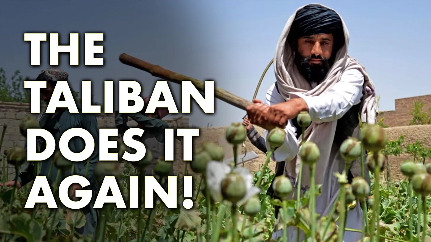 Die Taliban tun es wieder!