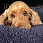 Mo Redford's avatar