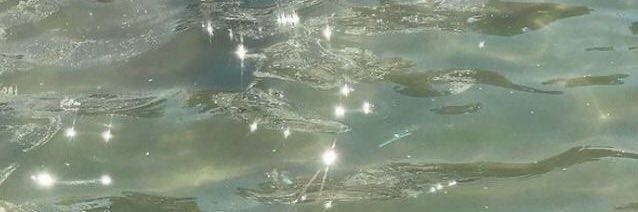 This may contain: several fish swimming in the water with their tails sticking out from under the water's surface