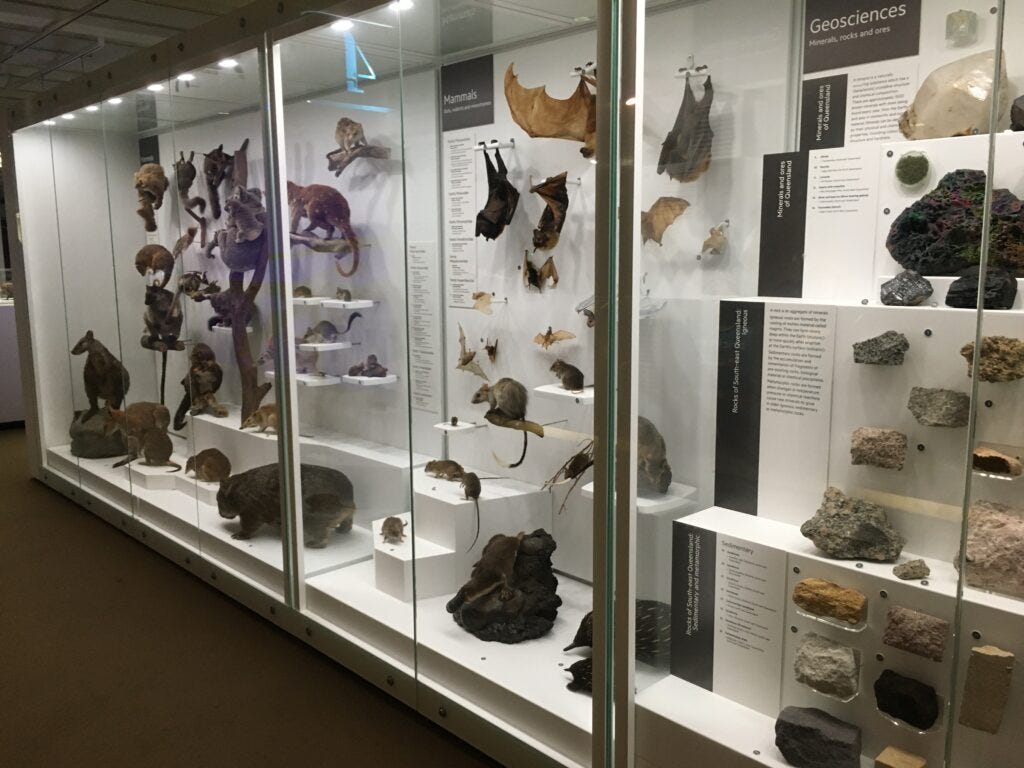 Queensland Museum Brisbane Queensland Museum Brisbane