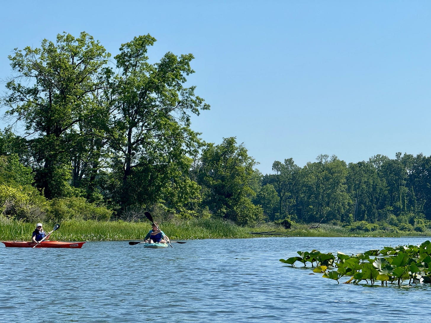 My family and I kayaking in the lagoon this weekend at Presque Isle State Park, where you can rent a single or double for the morning. My family and I kayaking in the lagoon this weekend at Presque Isle State Park, where you can rent a single or double for the morning.