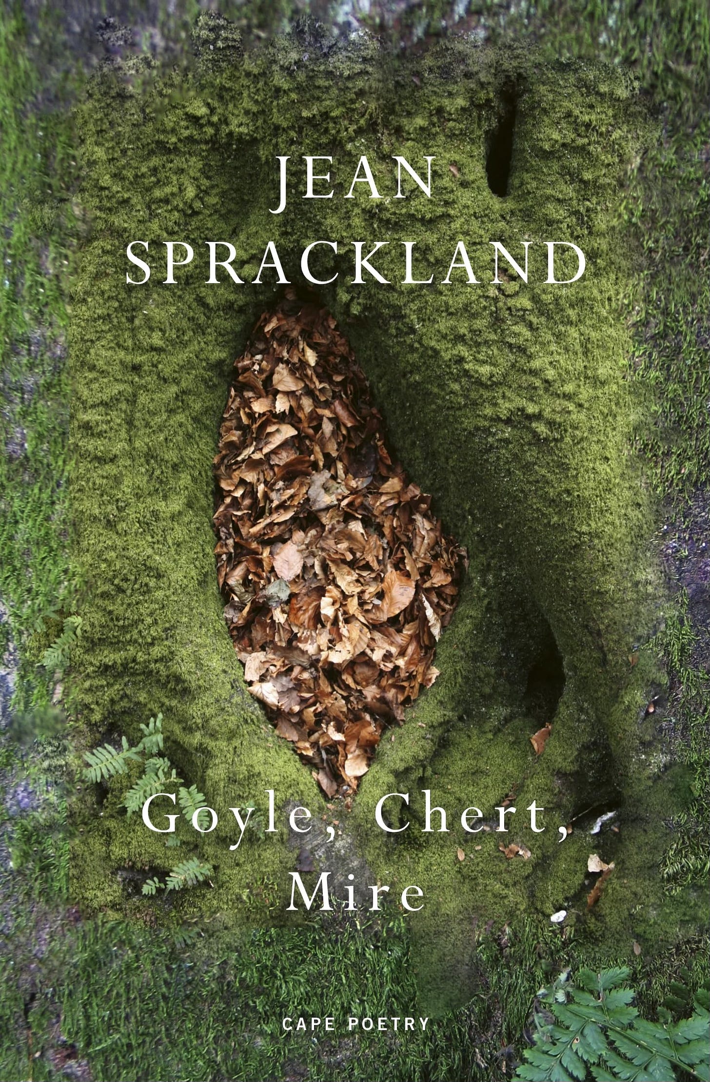 Book cover with a photo of a heap of dry brown leaves nestled between moss-covered tree roots Book cover with a photo of a heap of dry brown leaves nestled between moss-covered tree roots
