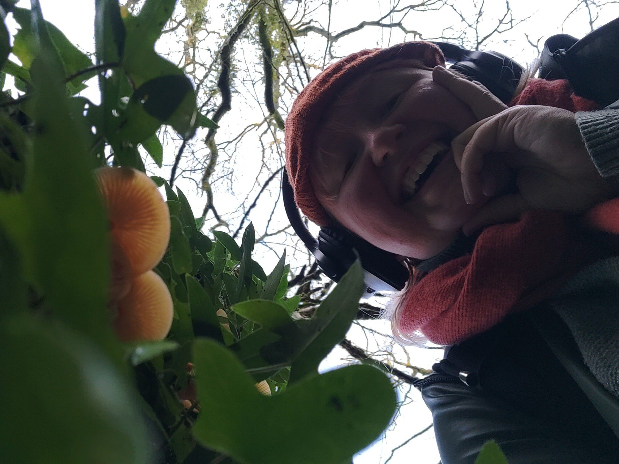 A worm's-eye view of Izzy sits joyfully alongside a tree growing a few velvet shank mushrooms