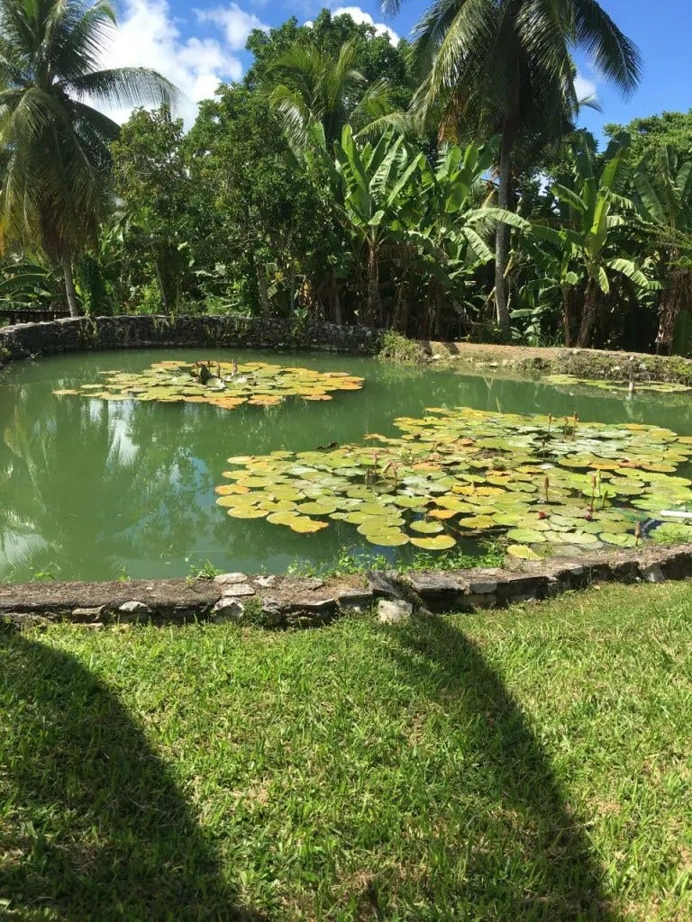 Tamarind Great House