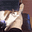 Haodong's avatar