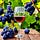 Journeys in Wine Economics
