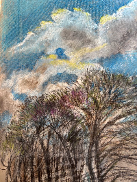 A3 Charcoal and A4 pastel drawings