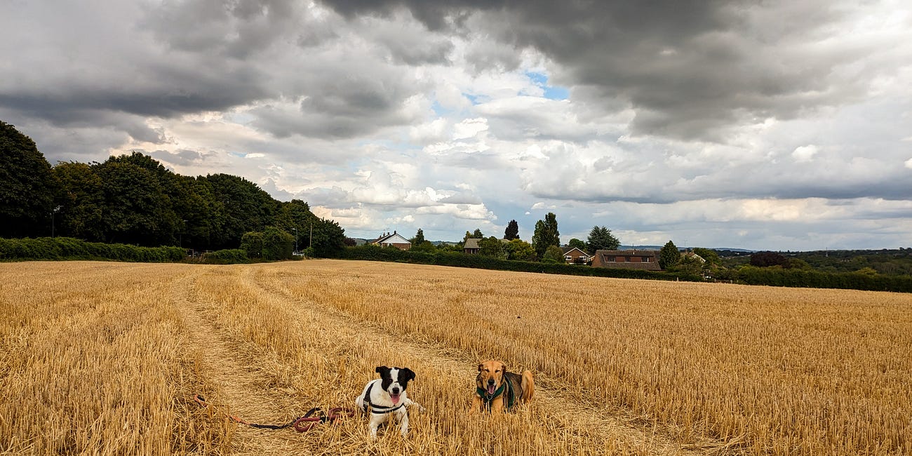 Why I'll be eating loads of bread today
