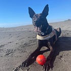 如何快速成為半個專家：五大困難步驟