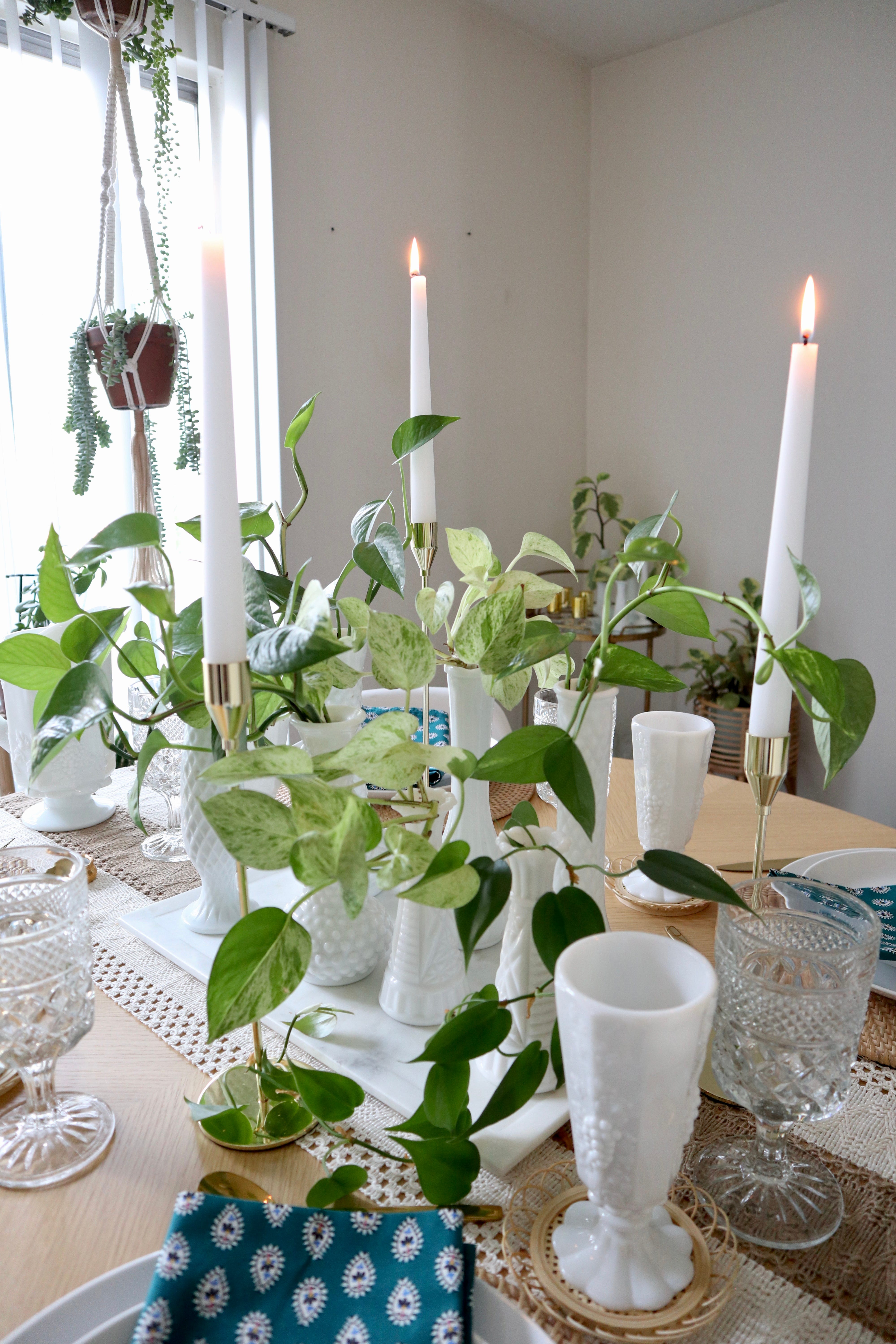 A WILD houseplant tablescape - by Rachael Burger